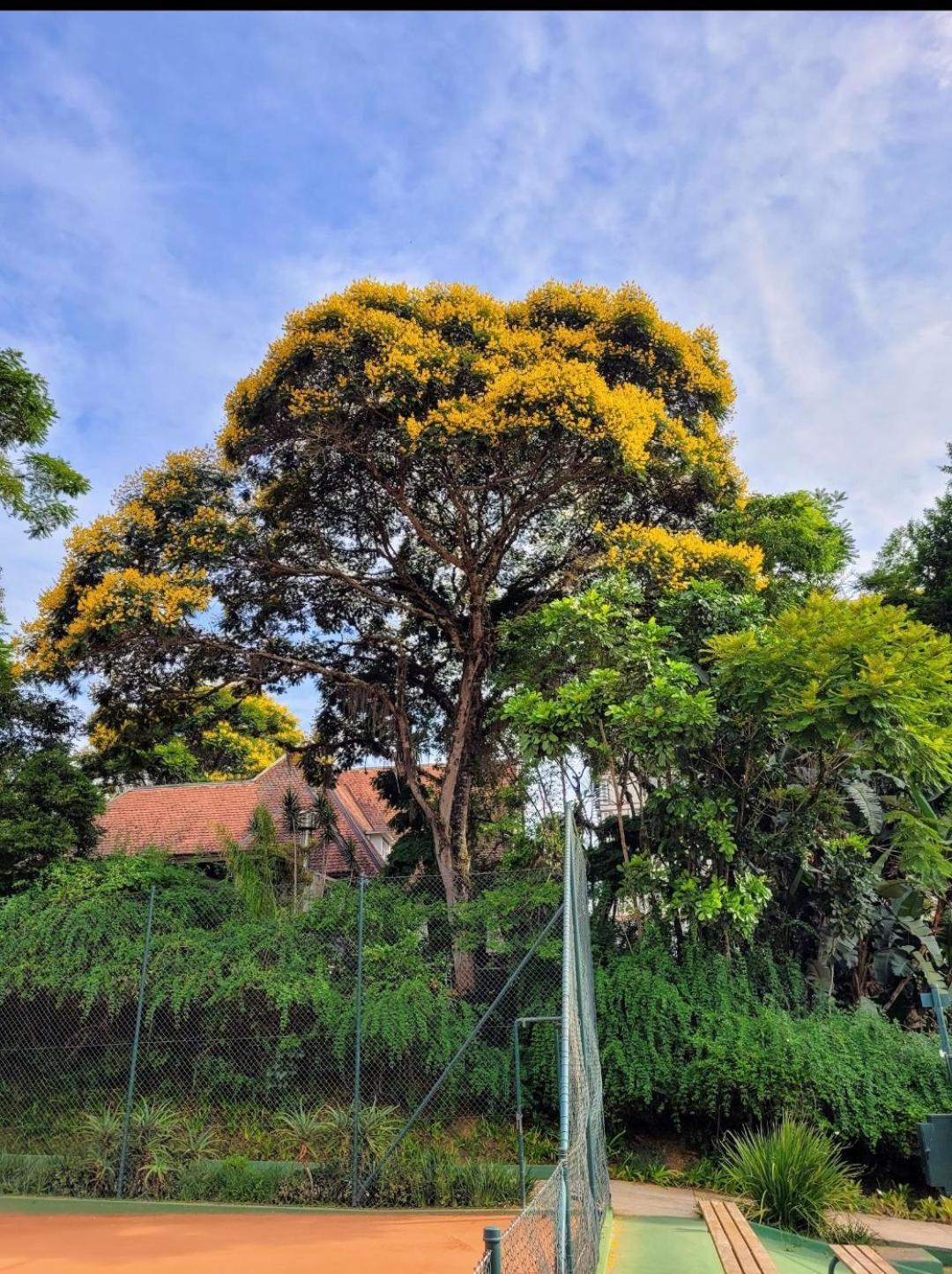 Granja Brasil Puc 10 2 Hotell Itaipava Eksteriør bilde